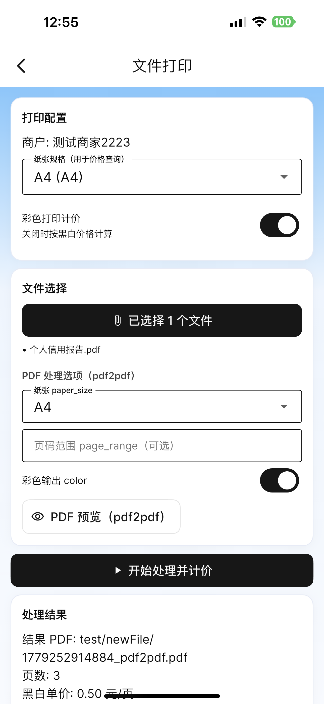PDF 预览